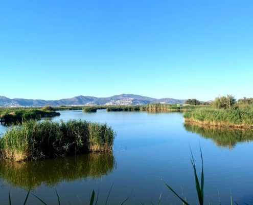 per que visitar els aiguamolls del emporda